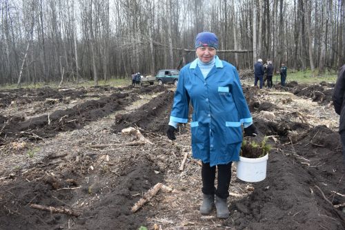 Аксубайлылар «Хәтер бакчасы» акциясенә кушылды