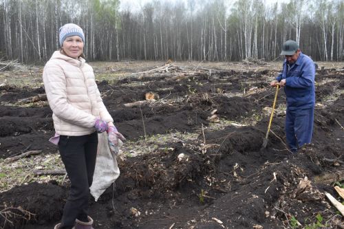 Аксубайлылар «Хәтер бакчасы» акциясенә кушылды