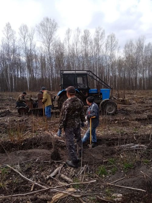 Аксубай урманчылары “кармәт” урманында Хәтер бакчасы булдырдылар