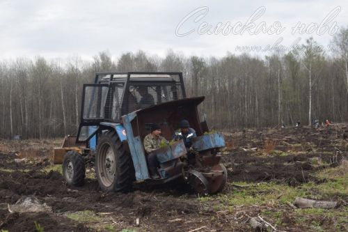 В Аксубаевском лесничестве деревья сажает техника