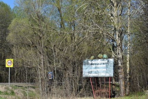 Аксубайлылар урманнарны чистарту акциясен хупладылар