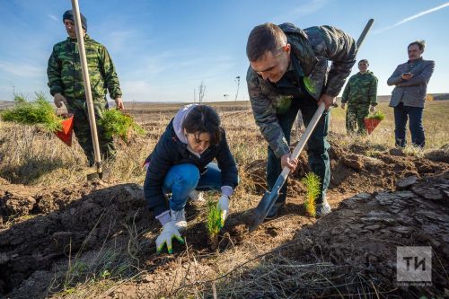 В Татарстане проводится акция по высадке деревьев «Сад памяти»