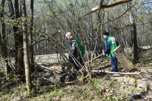 Аксубайлылар урманнарны чистарту акциясен хупладылар
