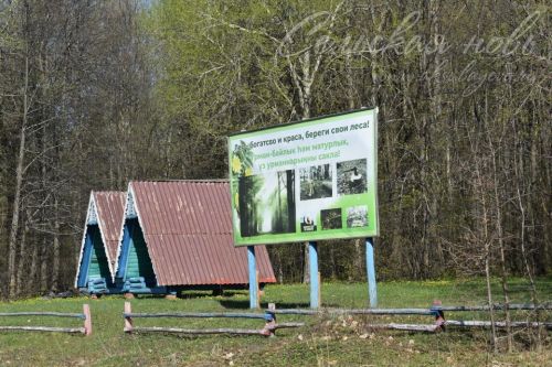 Аксубайлылар урманнарны чистарту акциясен хупладылар