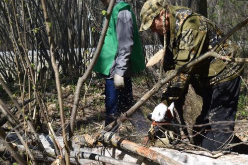 Аксубайлылар урманнарны чистарту акциясен хупладылар