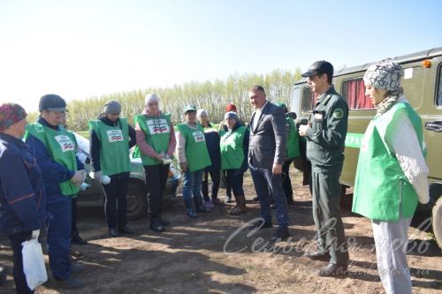 Аксубайлылар урманнарны чистарту акциясен хупладылар
