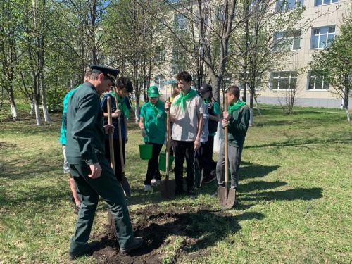 В Аксубаевской школе есть свой сад памяти
