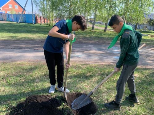 В Аксубаевской школе есть свой сад памяти