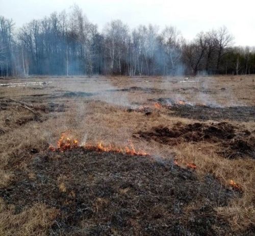 В аксубаевских лесах наступил пожароопасный сезон