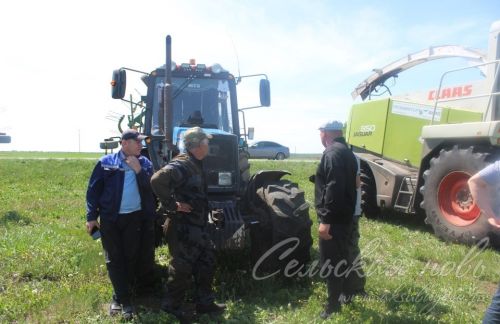 На аксубаевских полях трава подрастает, техника к ее уборке готова