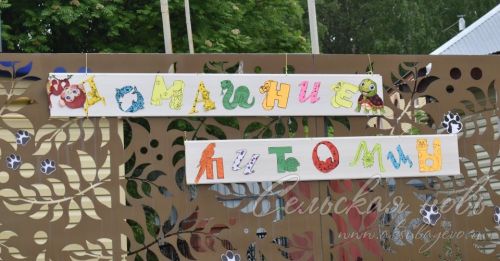 Экофестиваль в Аксубаеве: пробудить природу и жить с ней в ладу