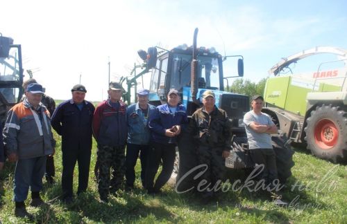 На аксубаевских полях трава подрастает, техника к ее уборке готова