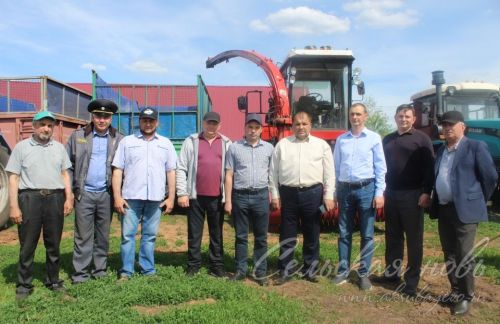 На аксубаевских полях трава подрастает, техника к ее уборке готова