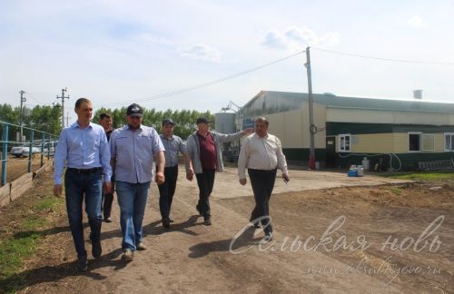 На аксубаевских полях трава подрастает, техника к ее уборке готова