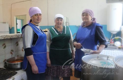 На аксубаевских полях трава подрастает, техника к ее уборке готова