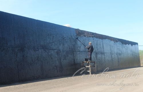На аксубаевских полях трава подрастает, техника к ее уборке готова