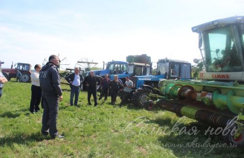 На аксубаевских полях трава подрастает, техника к ее уборке готова