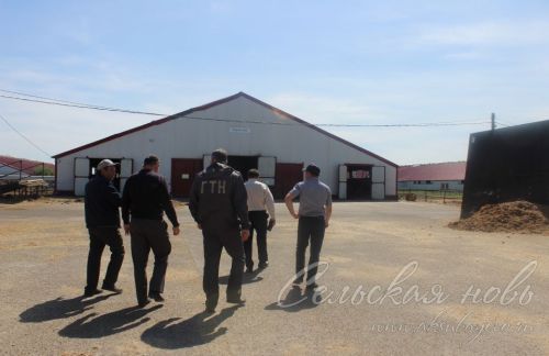 На аксубаевских полях трава подрастает, техника к ее уборке готова