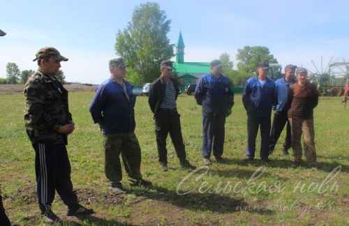 На аксубаевских полях трава подрастает, техника к ее уборке готова