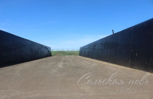 На аксубаевских полях трава подрастает, техника к ее уборке готова