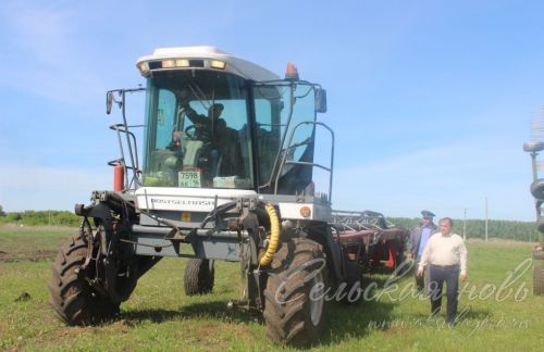 На аксубаевских полях трава подрастает, техника к ее уборке готова