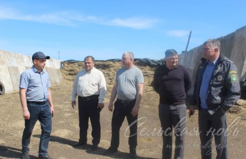 На аксубаевских полях трава подрастает, техника к ее уборке готова