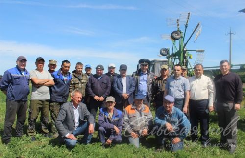 На аксубаевских полях трава подрастает, техника к ее уборке готова