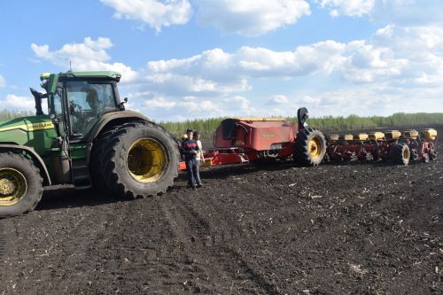 В Аксубаевском районе яровые культуры посеяны на более 80 процентах от плановой площади