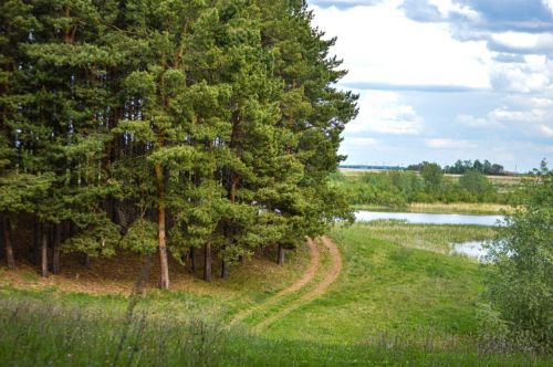 Аксубай урманнарында корткыч бөҗәкләргә каршы эшкәртү башлана