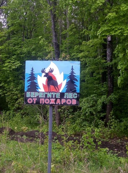 В Аксубаевские леса запрещен заезд транспорта и ограничено посещение людей