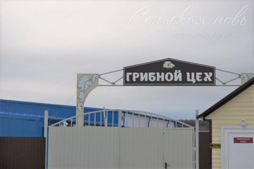 Учебный год в Старомокшинской средней школе завершился профориентационным мероприятием