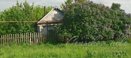 За бурьян на участке и перед домом аксубаевцев накажут рублем