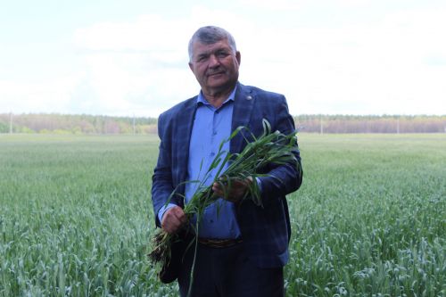 Посевную район завершил одним из первых в республике