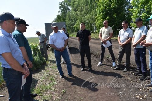 В Аксубаевском районе обсуждали, как защитить растения в летнюю сухую погоду