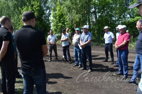 В Аксубаевском районе обсуждали, как защитить растения в летнюю сухую погоду