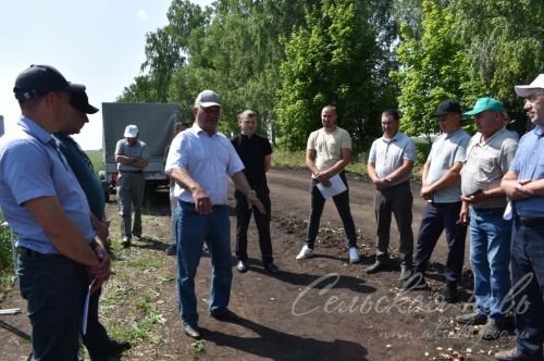 В Аксубаевском районе обсуждали, как защитить растения в летнюю сухую погоду