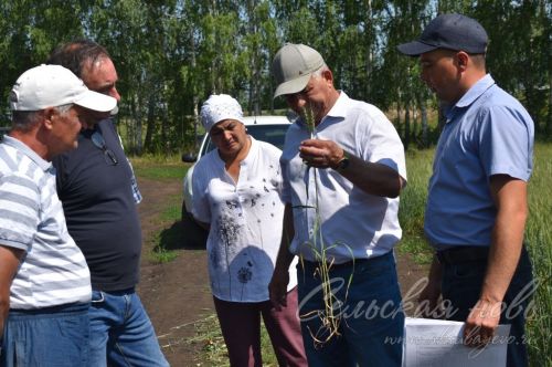 В Аксубаевском районе обсуждали, как защитить растения в летнюю сухую погоду
