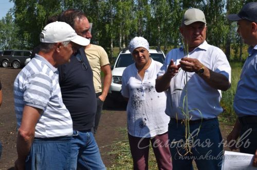 В Аксубаевском районе обсуждали, как защитить растения в летнюю сухую погоду