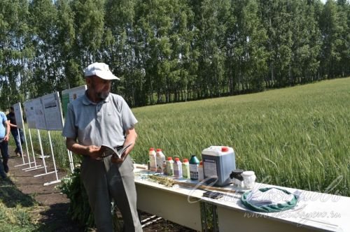 В Аксубаевском районе обсуждали, как защитить растения в летнюю сухую погоду