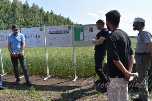 В Аксубаевском районе обсуждали, как защитить растения в летнюю сухую погоду