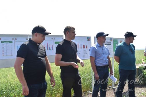 В Аксубаевском районе обсуждали, как защитить растения в летнюю сухую погоду