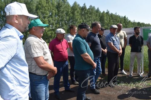 В Аксубаевском районе обсуждали, как защитить растения в летнюю сухую погоду