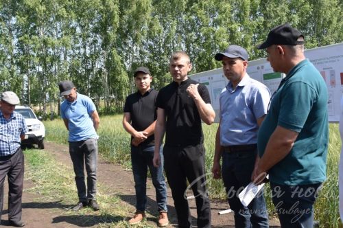 Аксубай районында җәйге коры һава торышында үсемлекләрне ничек сакларга кирәклеге турында фикер алыштылар