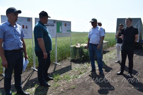 Аксубай районында җәйге коры һава торышында үсемлекләрне ничек сакларга кирәклеге турында фикер алыштылар