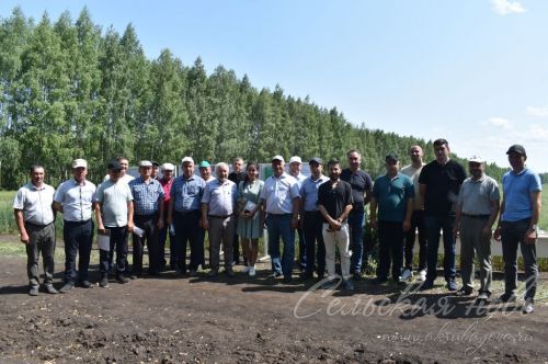 Аксубай районында җәйге коры һава торышында үсемлекләрне ничек сакларга кирәклеге турында фикер алыштылар