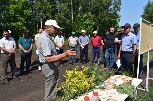 Аксубай районында җәйге коры һава торышында үсемлекләрне ничек сакларга кирәклеге турында фикер алыштылар