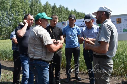 Аксубай районында җәйге коры һава торышында үсемлекләрне ничек сакларга кирәклеге турында фикер алыштылар