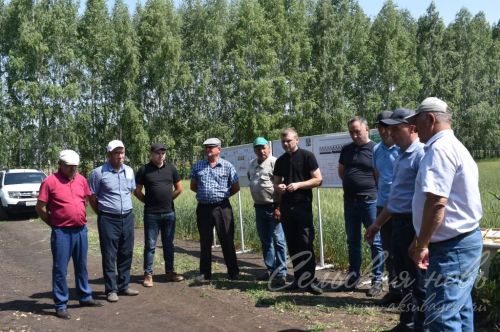 Аксубай районында җәйге коры һава торышында үсемлекләрне ничек сакларга кирәклеге турында фикер алыштылар