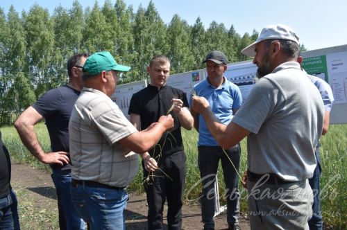 Аксубай районында җәйге коры һава торышында үсемлекләрне ничек сакларга кирәклеге турында фикер алыштылар