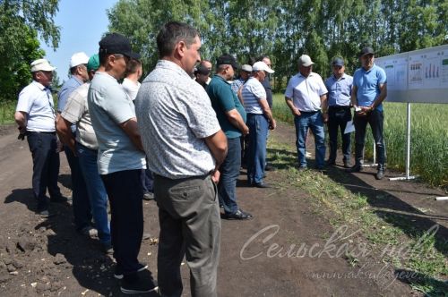 Аксубай районында җәйге коры һава торышында үсемлекләрне ничек сакларга кирәклеге турында фикер алыштылар